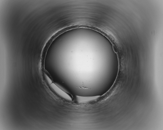 X0000095940880200801251108