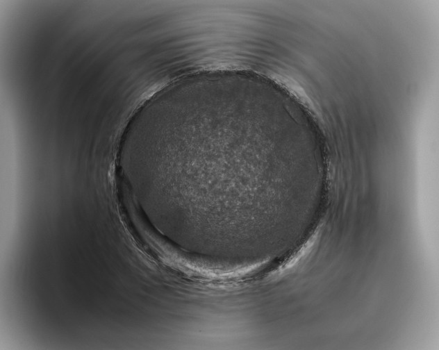 X0000095940881200801251108
