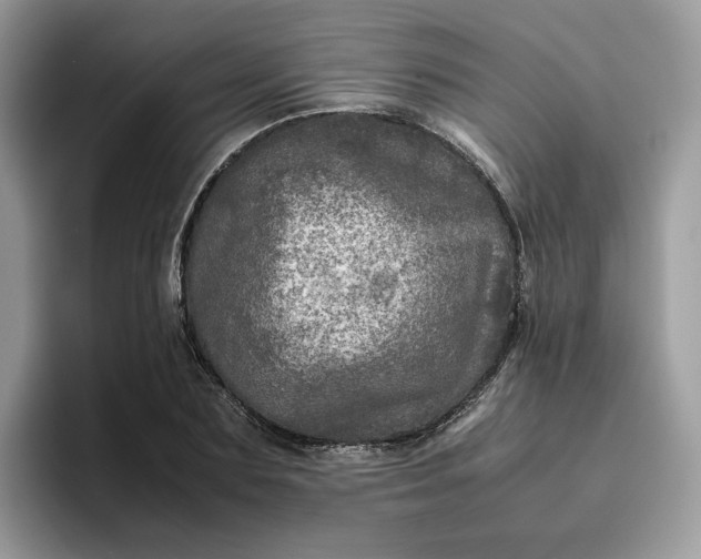 X0000095940883200801251108