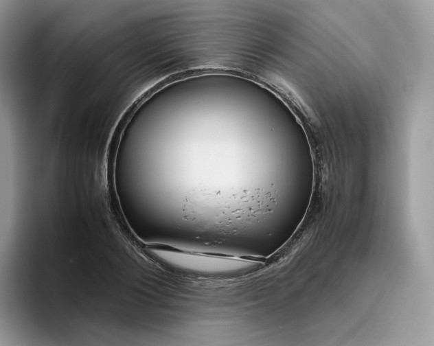 X0000095940884200801251108