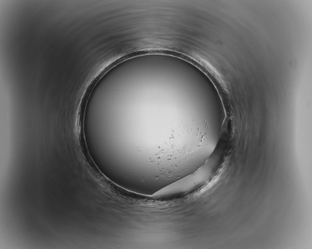 X0000095940885200801251108