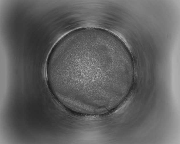 X0000095940887200801251108