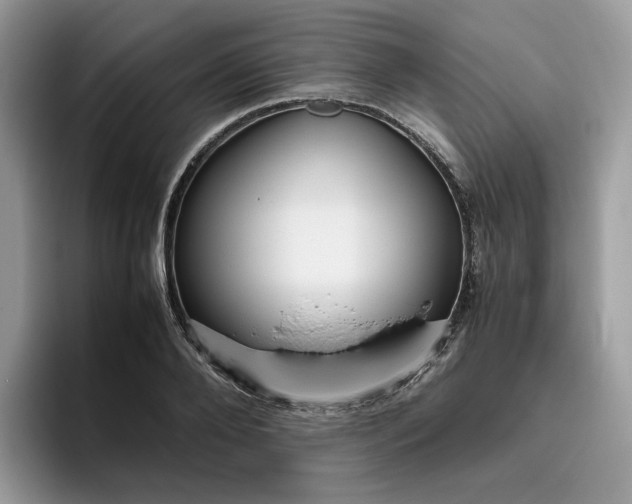X0000095940888200801251108