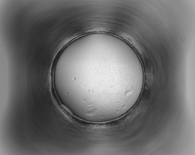 X0000095940890200801251108