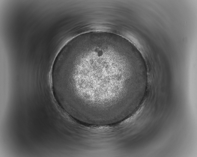 X0000095940891200801251108