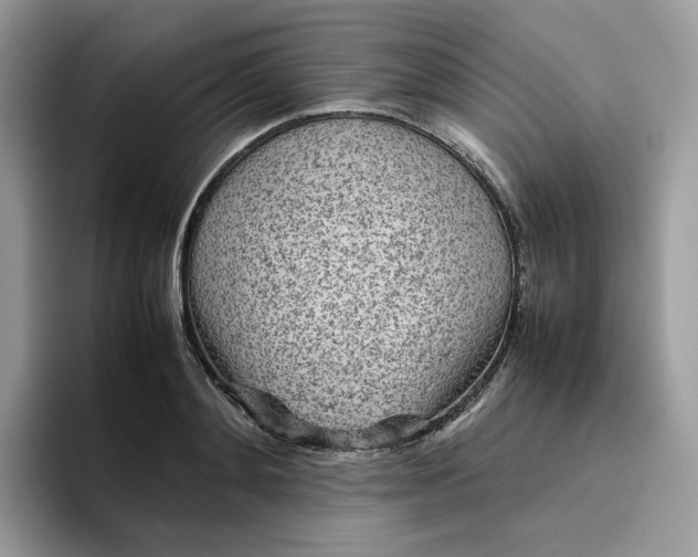 X0000095940892200801251108