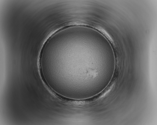 X0000095940893200801251108