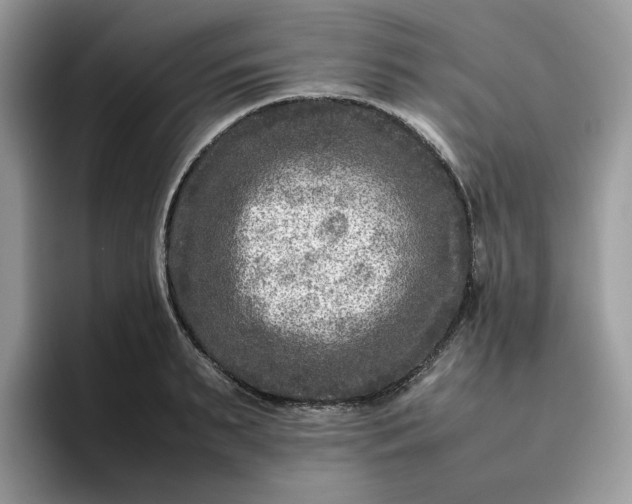 X0000095940895200801251107