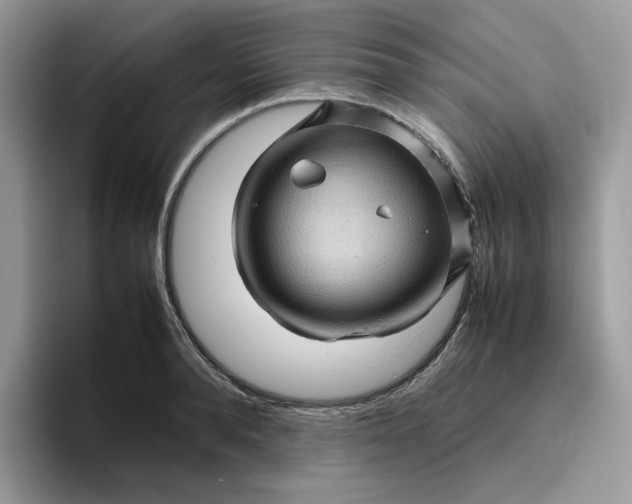 X0000095940896200801251107