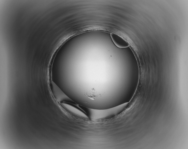 X0000095940898200801251107