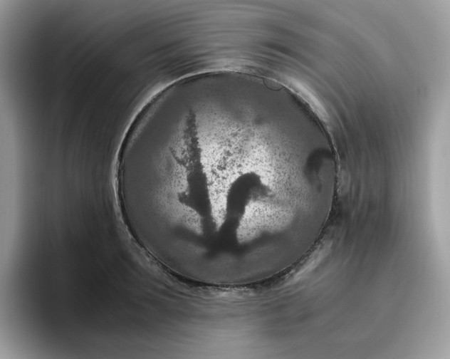 X0000095940899200801251107