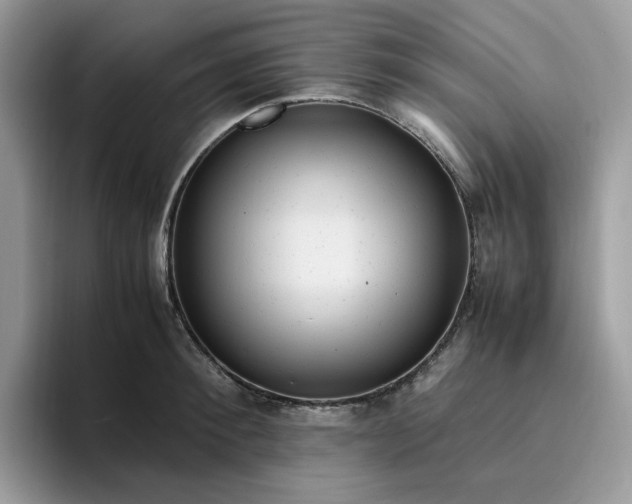 X0000095940900200801251107