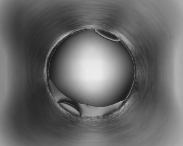 X0000095940902200801251107