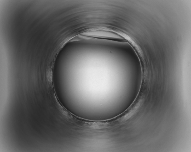 X0000095940905200801251107