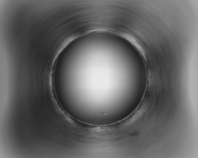 X0000095940906200801251107
