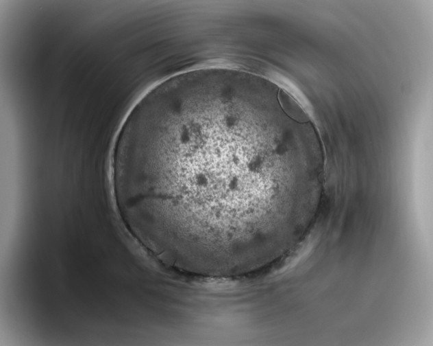 X0000095940907200801251107