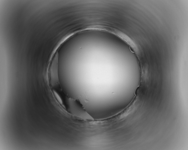 X0000095940908200801251107
