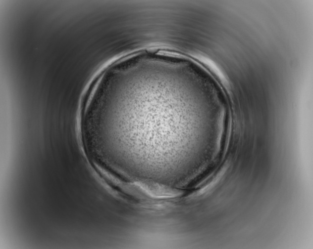 X0000095940910200801251107
