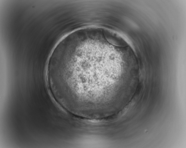X0000095940911200801251107