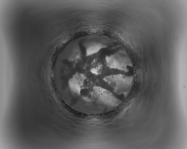 X0000095940913200801251107