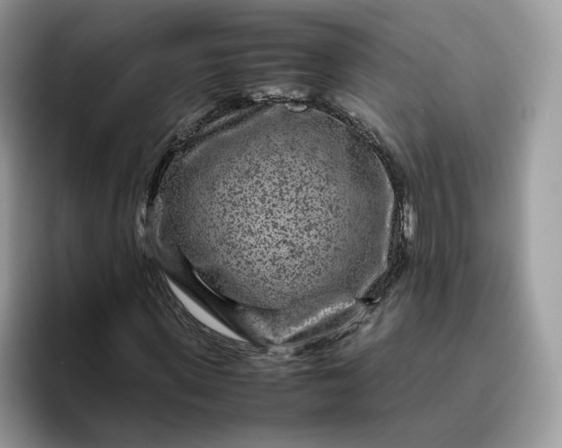 X0000095940915200801251107