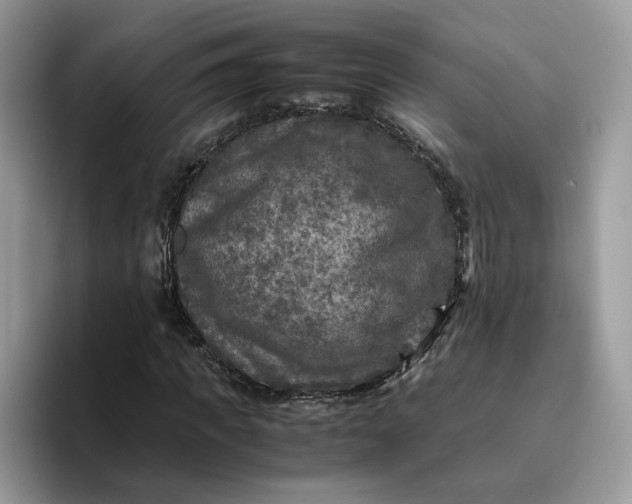 X0000095940917200801251107