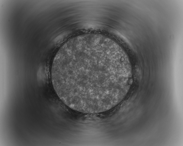 X0000095940918200801251107