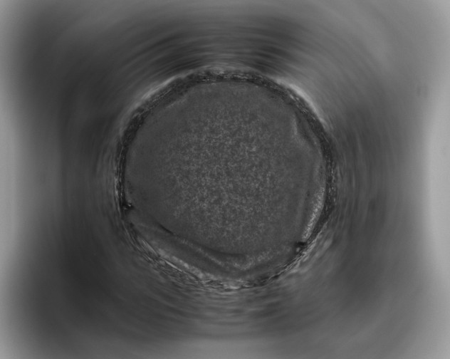 X0000095940919200801251107