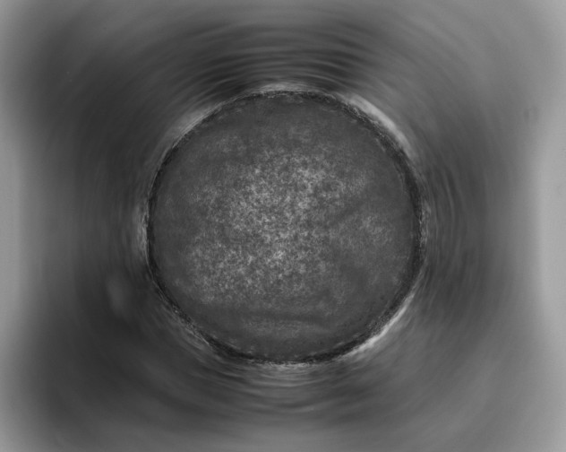 X0000095940921200801251107