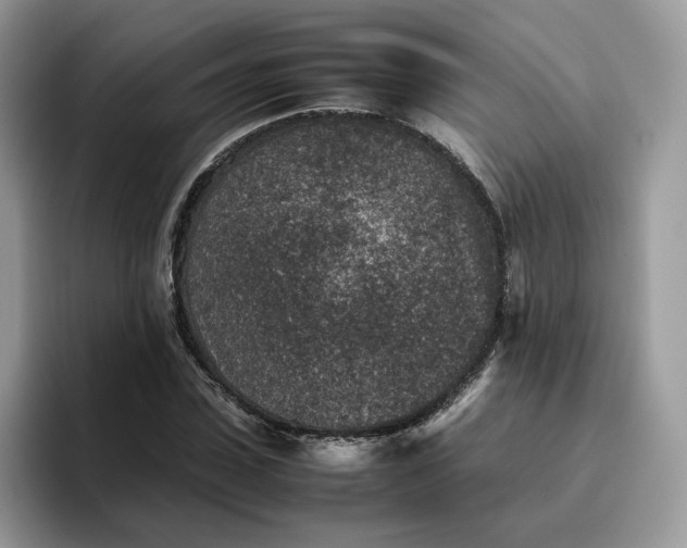 X0000095940923200801251107