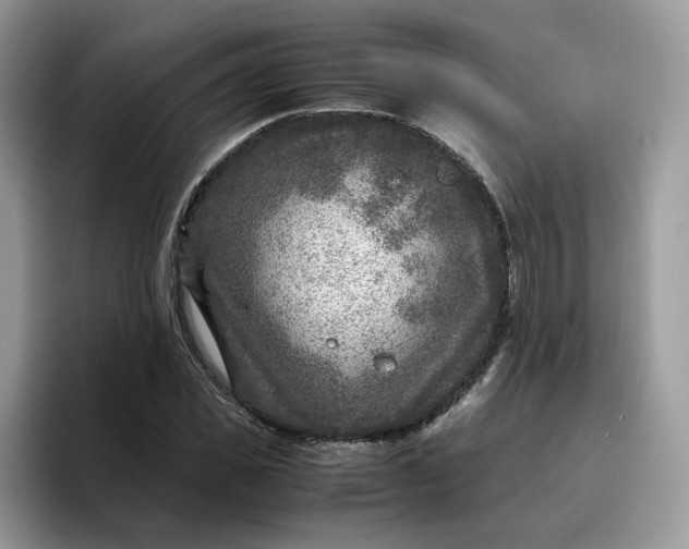 X0000095940925200801251107