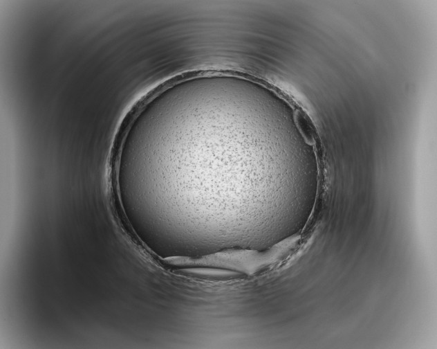 X0000095940928200801251107