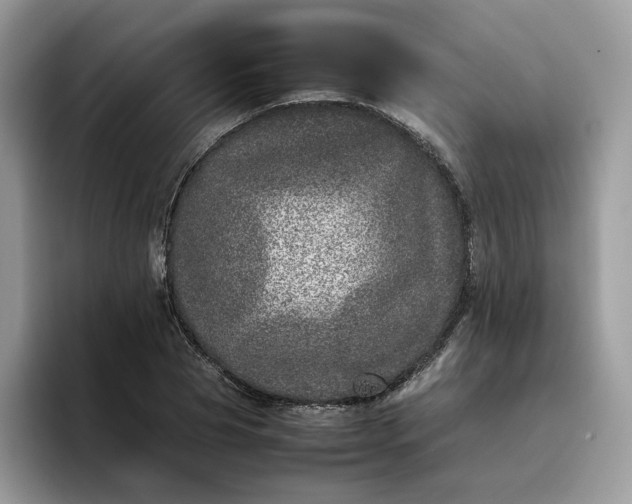 X0000095940929200801251107