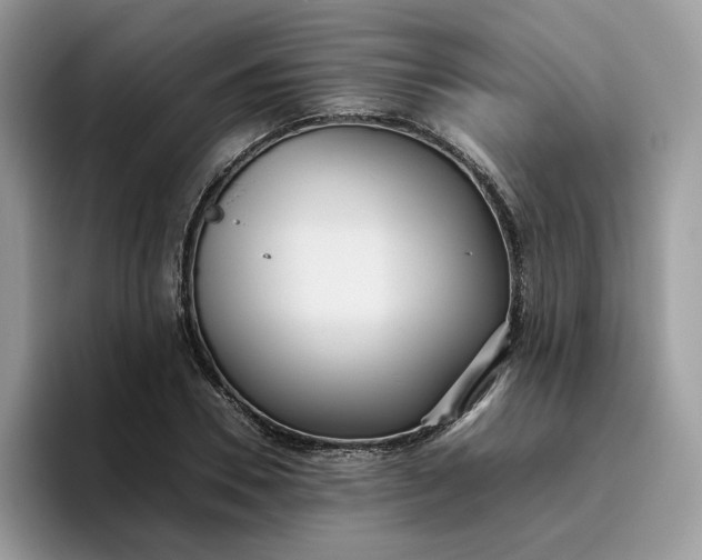 X0000095940930200801251107