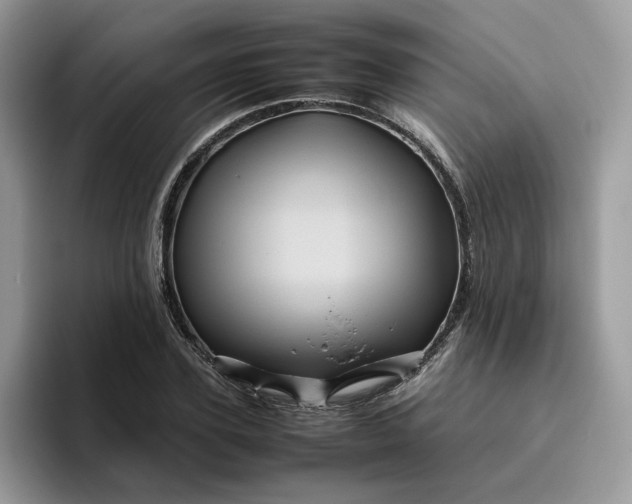 X0000095940931200801251107