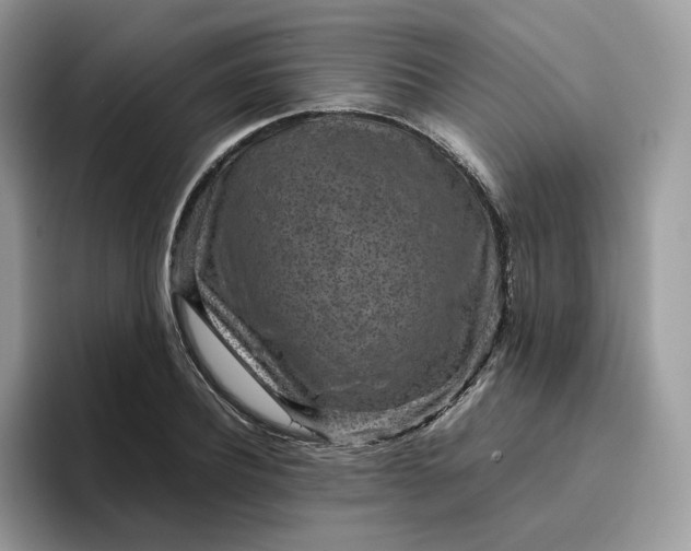 X0000095940932200801251107