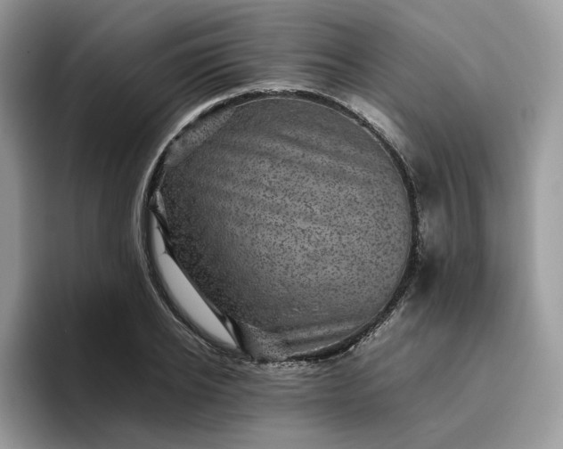 X0000095940934200801251107