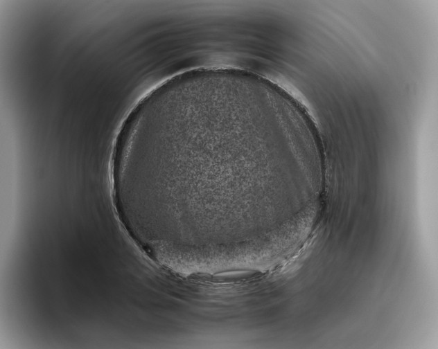 X0000095940935200801251107
