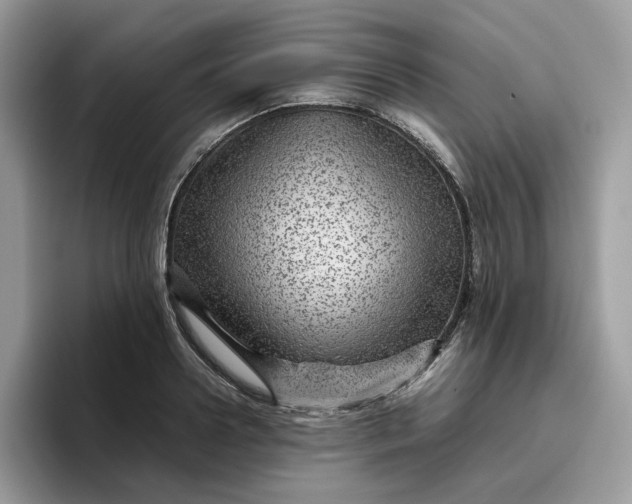 X0000095940938200801251107