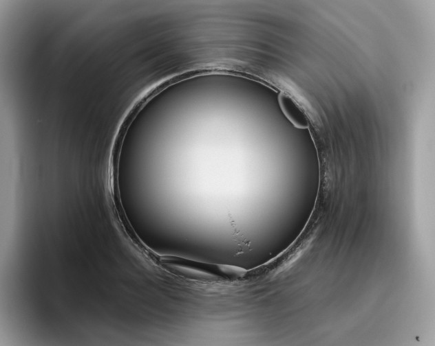 X0000095940940200801251107