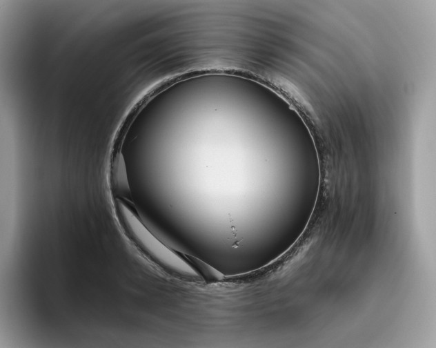 X0000095940942200801251107
