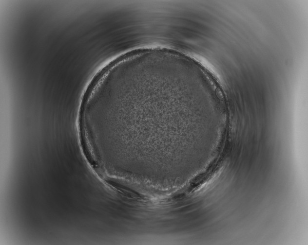 X0000095940943200801251107