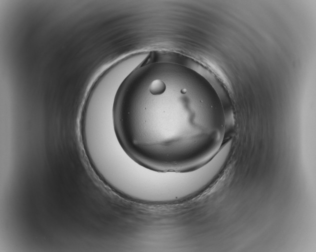 X0000095940944200801251107