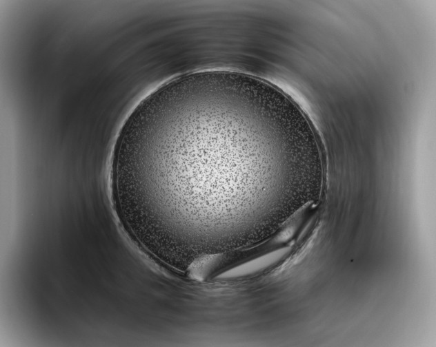 X0000095940949200801251107