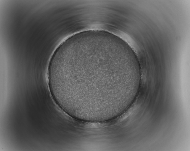 X0000095940950200801251107