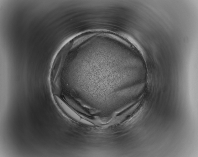X0000095940951200801251107