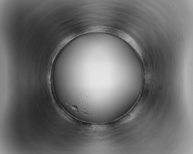 X0000095940954200801251107