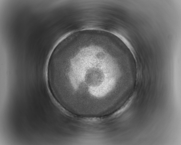 X0000095940957200801251107