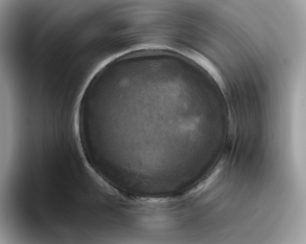 X0000095940958200801251107