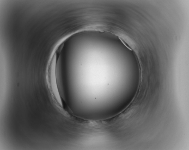 X0000095940960200801251107